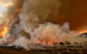 Tragedy-Strikes-Hawaii-as-Maui-Wildfires