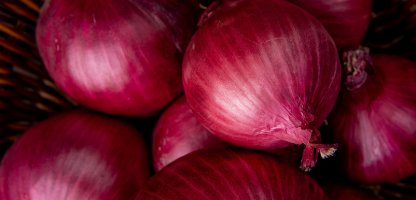 Onion-Price-Hike-and-Farmers-Protests