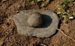 141_-Archaeologists-Unearth-Vast-Prehistoric-Civilization-in-Central-Europe-Using-Google-Earth