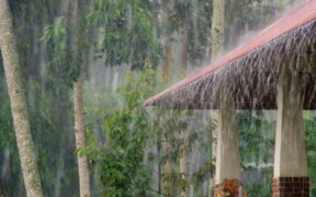 313_-Record-Breaking-Storm-Wreaks-Havoc-in-Los-Angeles-Leaving-City-Drenched