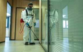 315_-Brazil-Issues-Dengue-Fever-Alert-Ahead-of-Carnival-Amid-Soaring-Cases-in-South-America