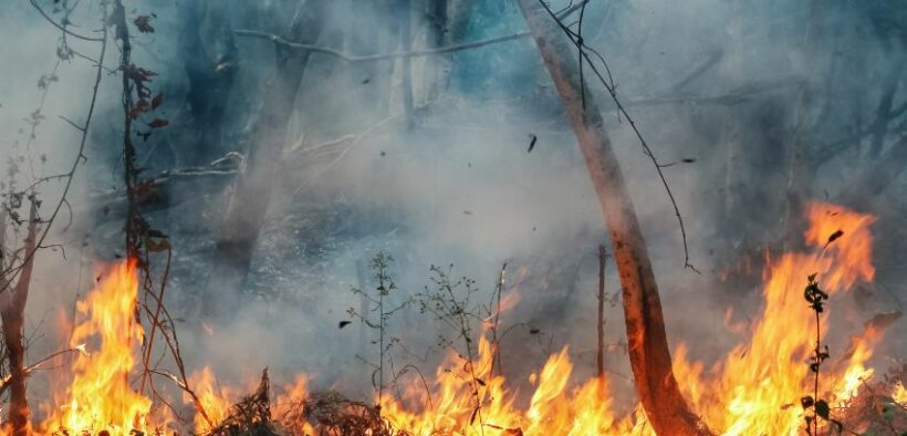 356_-Texas-Confronts-Historic-Wildfires-Amidst-Snow-Cover-in-Panhandle