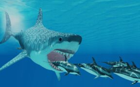 440_-How-Did-the-Megalodon-the-Ancient-Ocean-Predator-Disappear