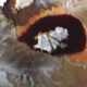 473_-What-Lies-Beneath-Ios-Volcanic-Veil_-Junos-Revelations-Amaze-Scientists