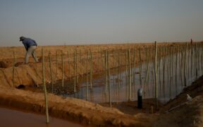 545-Why-Chinas-Ambitious-Food-Security-Goals-Face-Major-Hurdles