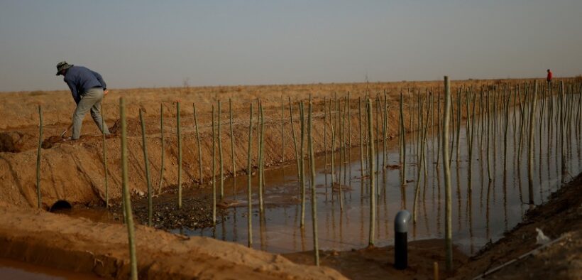545-Why-Chinas-Ambitious-Food-Security-Goals-Face-Major-Hurdles