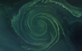 551-Why-the-Baltic-Seas-Algal-Bloom-Signals-an-Ecological-Crisis