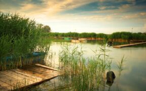 567-How-a-New-York-Couple-Found-100000-in-a-Safe-While-Magnet-Fishing