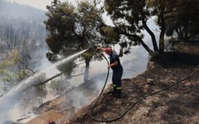 594_-Major-Announcement-Just-Made-by-Greek-Climate-Minister-Amid-Rising-Wildfire-Concerns