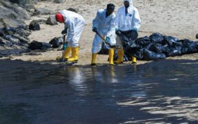 606-When-Will-Singapores-Beaches-Reopen_-The-Aftermath-of-the-Oil-Spill