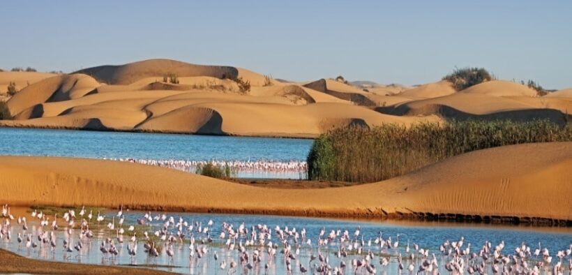 675-Namibia-Announces-Major-Visa-Policy-Shift-for-Western-Visitors