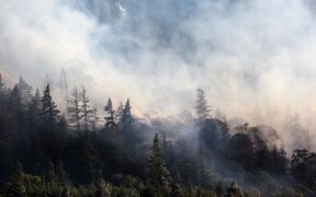 688-The-Dyrt-2024-Report-Shows-a-Sharp-Rise-in-Wildfire-Related-Camping-Disruptions