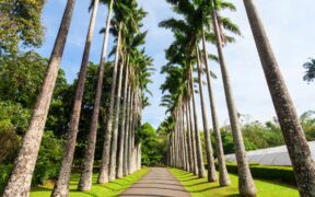 717-What-Are-the-Key-Challenges-in-Reviving-Great-Yarmouths-Historic-Glasshouse