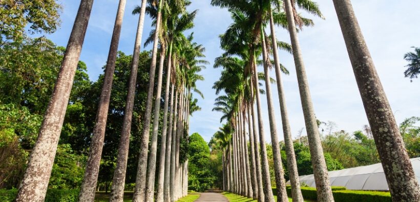 717-What-Are-the-Key-Challenges-in-Reviving-Great-Yarmouths-Historic-Glasshouse