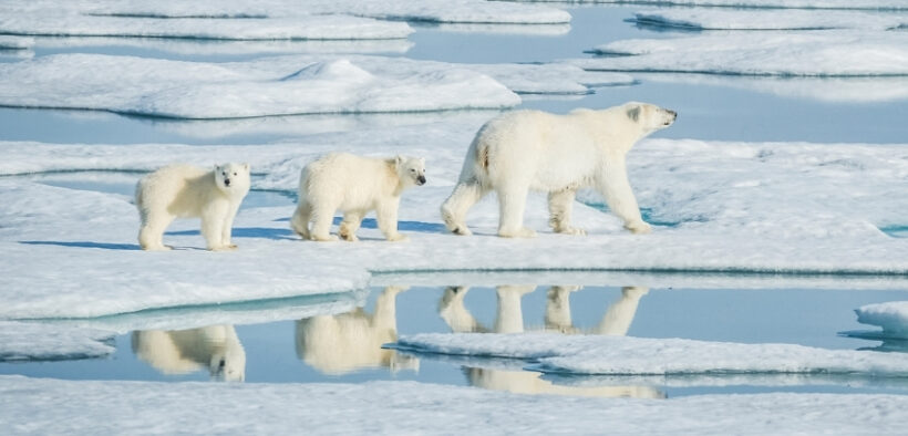 816-Why-the-Arctic-Tundra-Is-Becoming-a-Carbon-Dioxide-Emitter