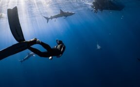 Deep sea exploration