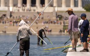 Trump Reflecting Pool