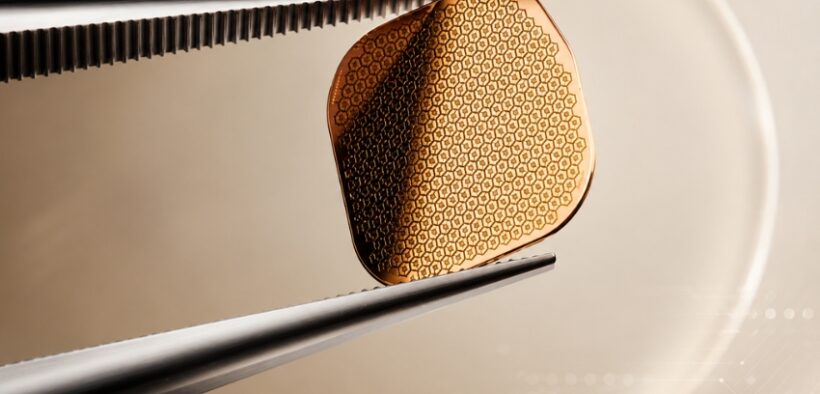 Prima vision implant